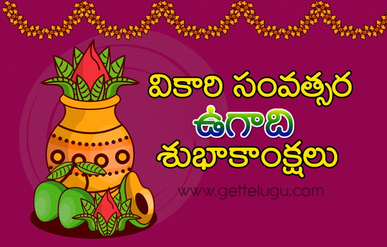 Vikari New Year wishes